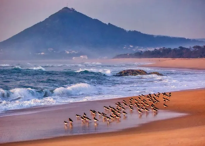 Casa Moledo (Viana do Castelo)